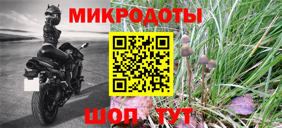 Каменск-Шахтинский  Галлюциногенные грибы прущие грибы  Галлюциногенные грибы MAGIC MUSHROOMS  Вход с VPN 